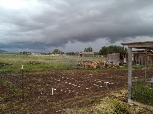 2013-05-28_19-03-37_332